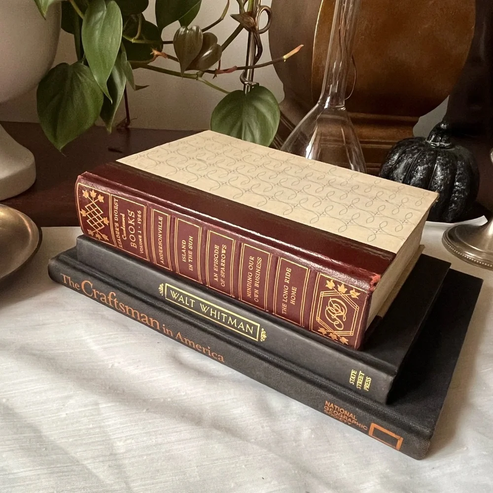 Curated Book Stack Set Decorative Vintage Hardcover Shelf Filler Dark Tones
